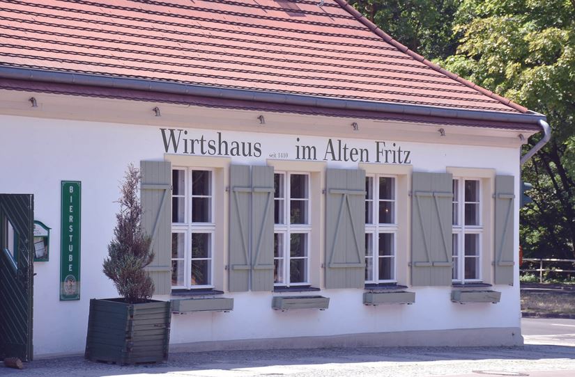 Interviews mit Profis